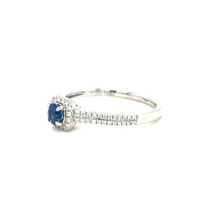 14KW Sapphire & Double Diamond Band Ring