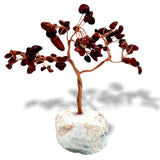 Small Tree With Jasper