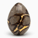 Septarian Freeform