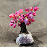 Pink Agate Tree
