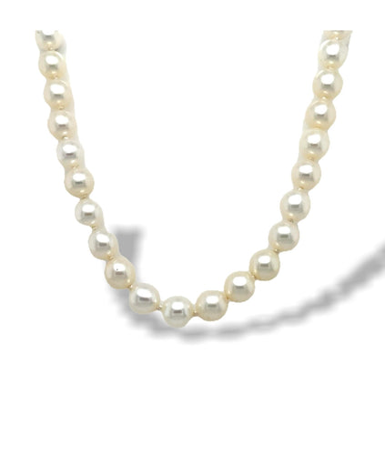 Pearl Necklace