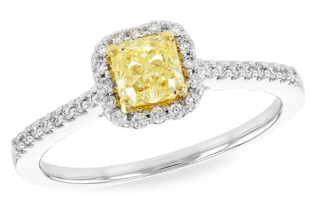 18KW Yellow Diamond Halo Ring