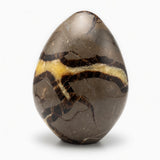 Septarian Freeform
