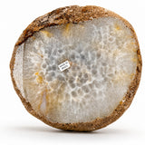 Agate Slice