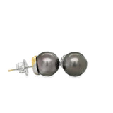 Tahitian Pearl Earrings