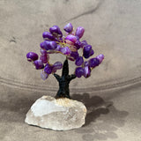 Purple Agate Tree