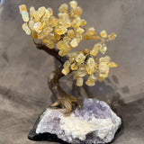 Citrine Tree