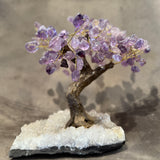 Amethsyt Gem Tree