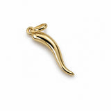 Italian Horn Charm