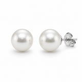 Akoya Pearl Earrings