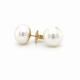 14KY Button Pearl Stud Earrings