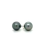 14KW Tahitian Pearl Stud Earrings