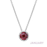 Janurary Birthstone Necklace